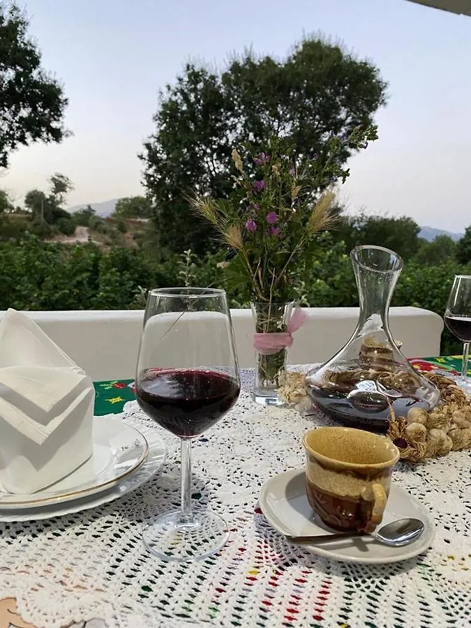 Villa Meta - Welcoming You With Byrek & Traditional Meals Gusmar Албания
